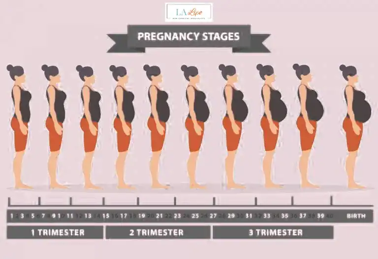 First Trimester (Weeks 1–12): Early Changes You Might Not Notice Walton-on-Thames